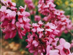 -贵阳市花溪国家城市湿地公园