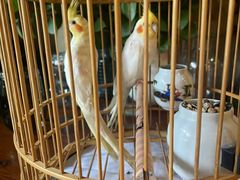 -春暖花开(西溪店)