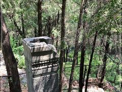 -阳台山自然风景区