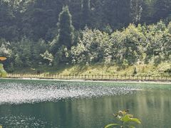 -武陵山森林公园