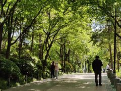-西安曲江寒窑遗址公园