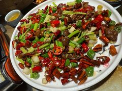 -青城甲(青城山店)