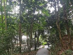 -广州市帽峰山景区