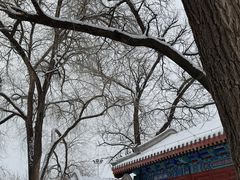 -潭柘寺景区