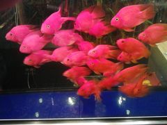 等位区-粗茶淡饭·汉口公馆(循礼门店)