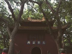 -普陀山风景名胜区-法雨禅寺