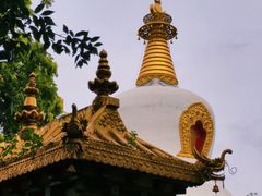 -护国法轮寺