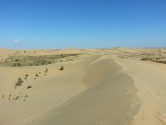 -亿利库布其七星湖沙漠生态旅游区