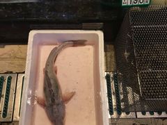-梅林春晓花园餐厅