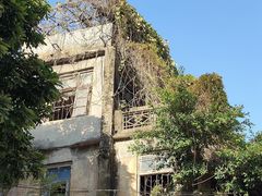-石炮台公园