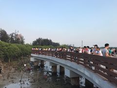 -宝安西湾红树林湿地公园