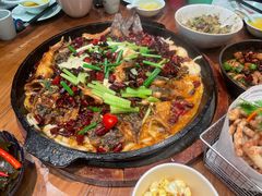 -老板恋上鱼(振华商厦店)