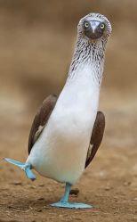 -Oasis Beauty水磨坊科技美肤中心