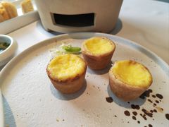 岭南鲜奶蛋挞-潮上潮(南中环店)