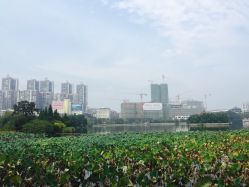 -灵伽瑜伽