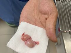 -纳吉亚猫专科动物医院博雅分院