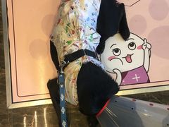 -宠爱国际动物医院·消化内科·心肾内科·ISFM猫友好(望京店)