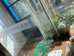 -一两饭川味素食餐厅