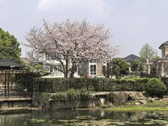 -长广溪湿地公园