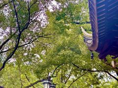 -西园戒幢律寺