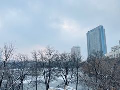 -青城公园