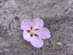 -华山风景名胜区