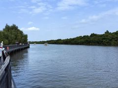 -东寨港红树林旅游区