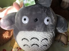 -PAWTOY爪e玩偶店(天兴罗斯福店)