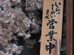 -百花洲