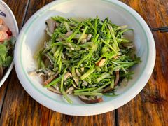 -小小饭店·休闲农庄·安吉松树林里的农家菜
