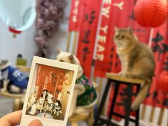 -柴迷FANS CLUB·柴犬狗咖·猫咖