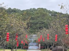 -广州市帽峰山景区