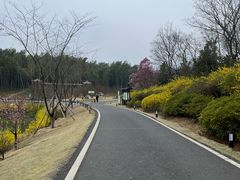 -宜兴龙背山森林公园