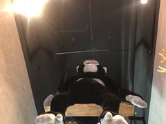 -ZOO COFFEE动物园咖啡(望京锐创店)