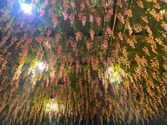 -食欲老院子荆芥疙瘩汤(经五路店)