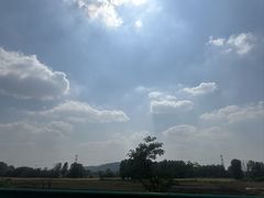 -新珠城鱼坊(龙湖店)