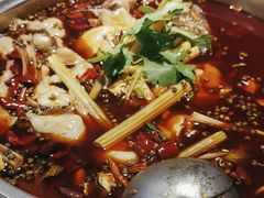-蛙蛙鸡冷锅鱼(驷马桥店)