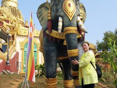 -瑞丽独树成林风景区