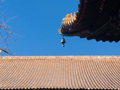 -雍和宫