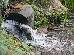 -杭州植物园