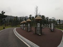 -东岳体育公园