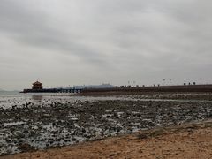 景点-栈桥景区