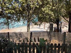 -云南野生动物园