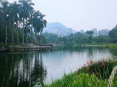 -四海公园(南山区)