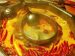-蜀九香火锅(九眼桥店)