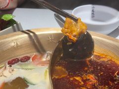 -小龙坎火锅(总店)
