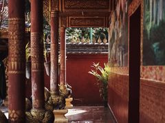 -西双版纳傣族园