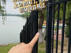 -羊山湖公园