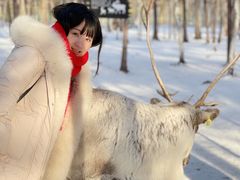 -北极村旅游风景区