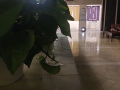 -和园景逸大酒店朗月汤泉
